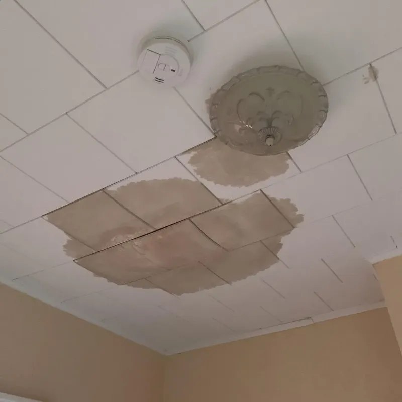 Ceiling Water Damage Repair in Kansas City, KS