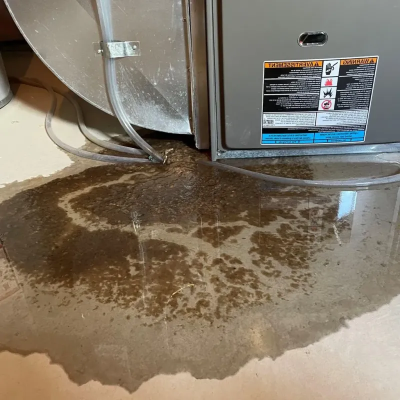 Pipe Burst and Leak Restoration in Kansas City, KS