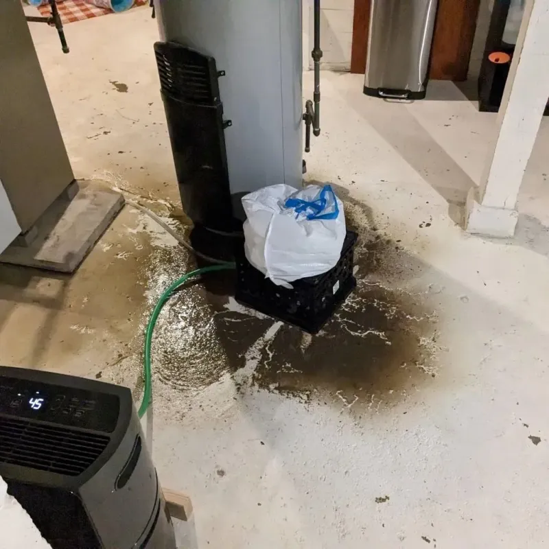 Sewage Backup Cleanup Service in Kansas City, KS